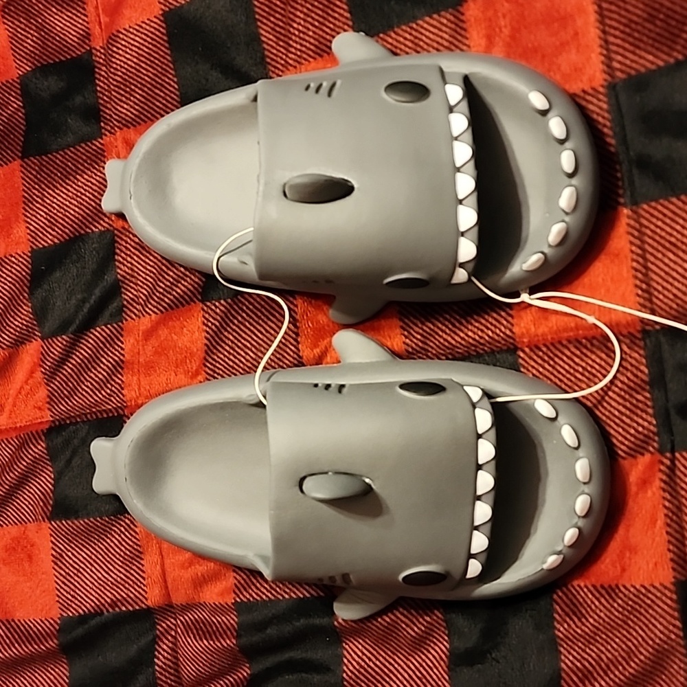 Shark Slides